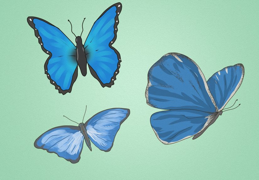 Blue Butterfly Meaning: Spiritual & Cultural Symbolism
