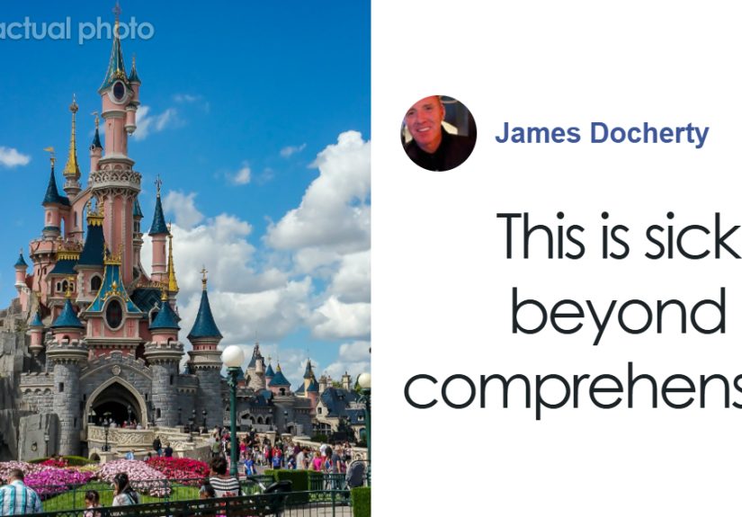 Disneyland Wedding Interrupted By Staff The Moment They Notice The Bride Was A 9-Year-Old Girl