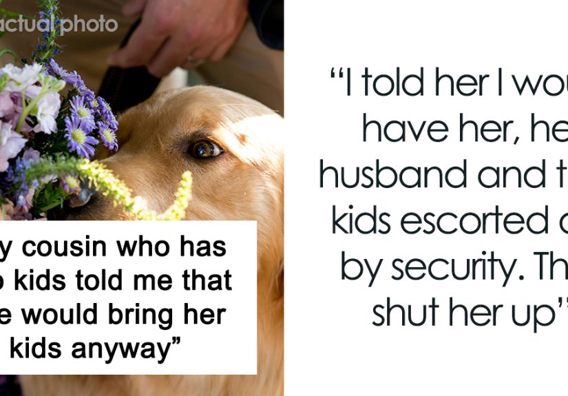 &ldquo;Dog Will Be The Flower Girl And My Two Cats Are Maids Of Honor&rdquo;: Guests Are Losing Their Minds Over Unconventional Childfree Wedding