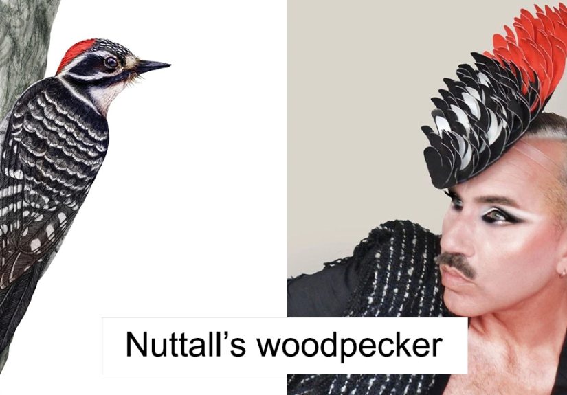 From Velvet Curtains To Wooden Spoons: I Transform Everyday Objects Into Nature Costumes (31 New Pics)