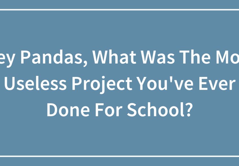 Hey Pandas, What Was The Most Useless Project You’ve Ever Done For School? (Closed)