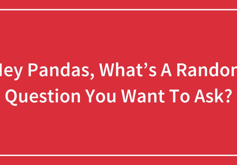 Hey Pandas, What’s A Random Question You Want To Ask?