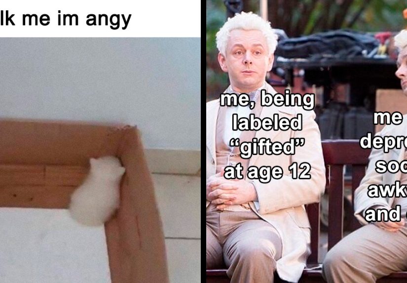 &lsquo;Memes To Discuss In Therapy&rsquo;: 35 Painfully Hilarious Memes That Might Make You Laugh If You Have Crushing Anxiety