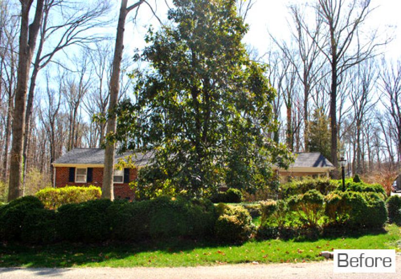 Using A Certified Landscape Designer