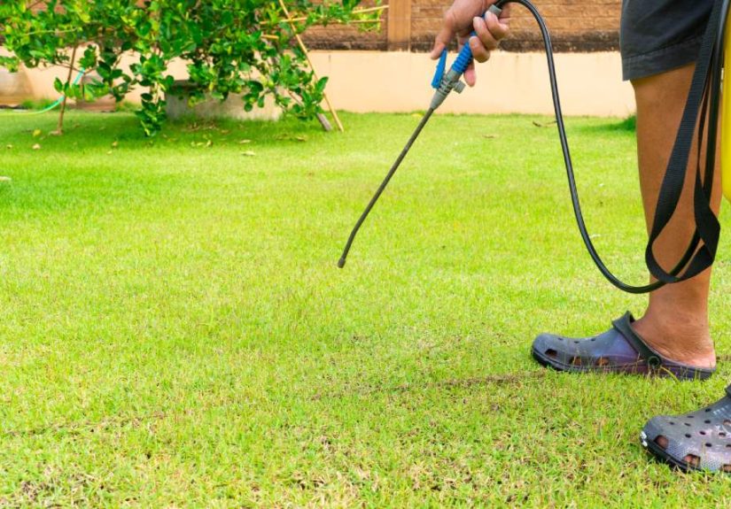 What Is A Pre-Emergent Weed Killer?