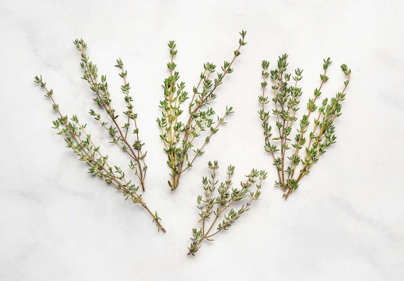 What Is Thyme?