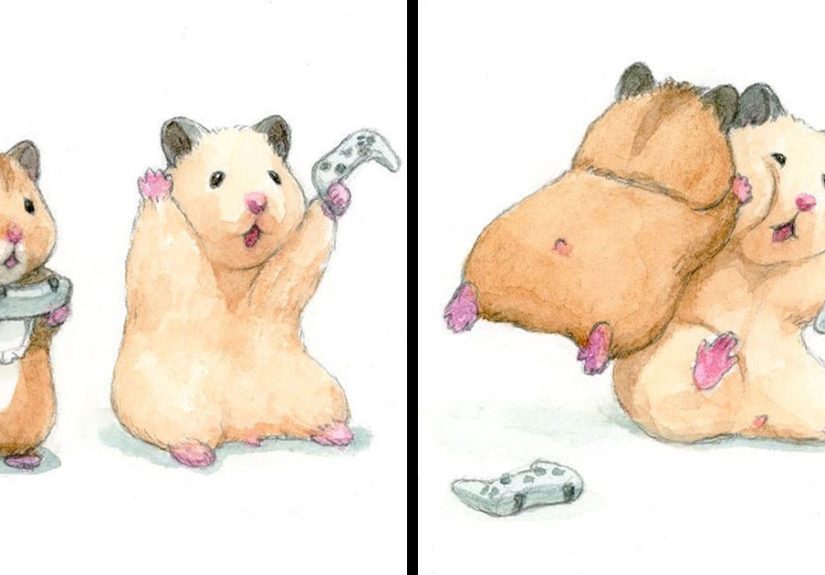 157 More Wholesome Illustrations Of A Hamster Named Sukeroku By Gotte