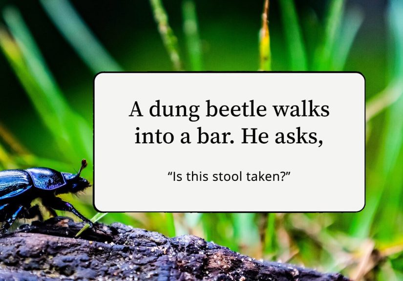 22 Jokes to Memorize So You Can Go Toe-to-Toe With the Clown at Your Nephew’s Birthday Party