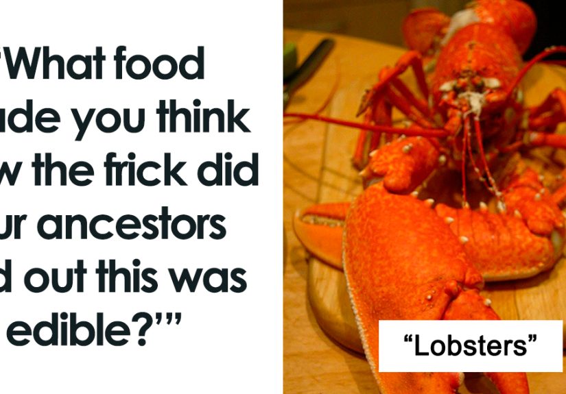 35 Weird Foods That We Now Know Are Edible, But It’s Surprising How Our Ancestors Found That Out, As Pointed Out By Folks Online