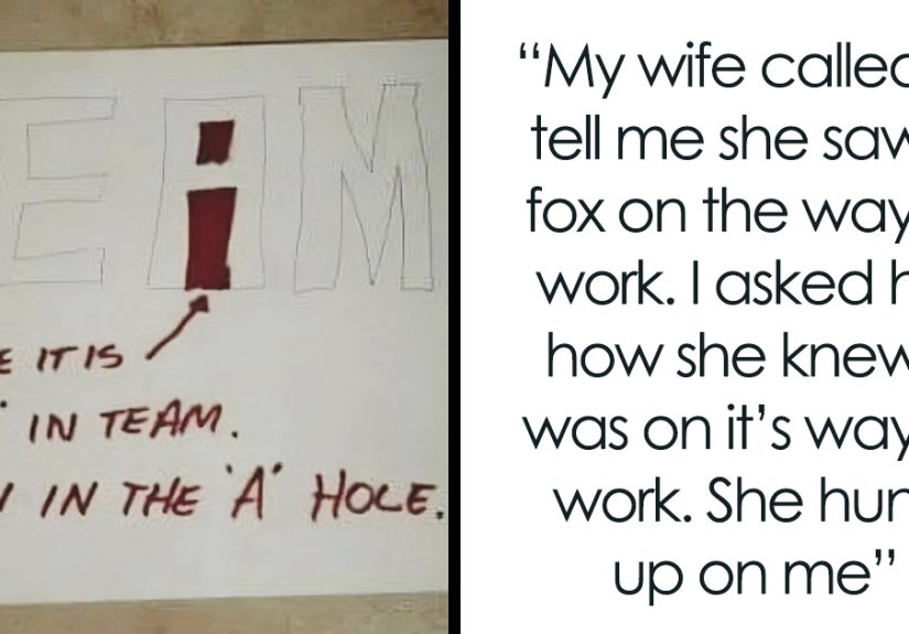 50 Funny “Unappreciated Puns” That Are So Bad, They Are Good (New Pics)