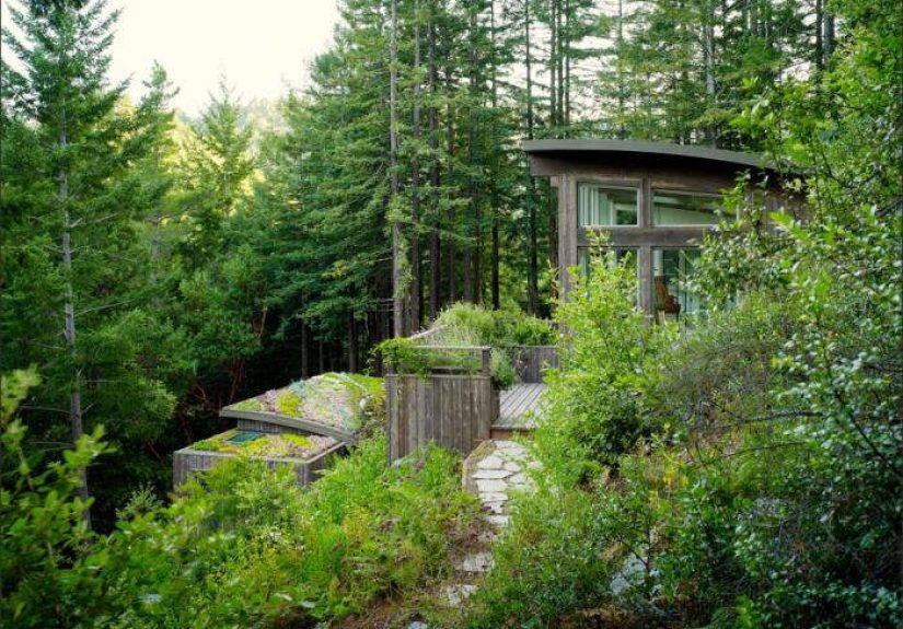 Feldman Architecture: Cottages in the Mill Valley Forest