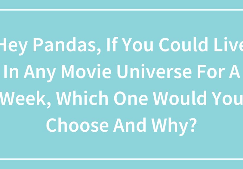 Hey Pandas, If You Could Live In Any Movie Universe For A Week, Which One Would You Choose And Why?
