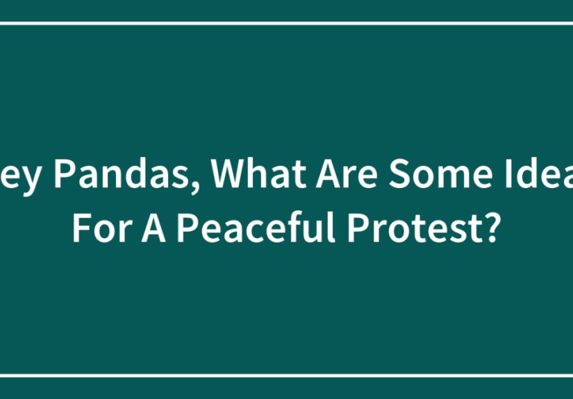 Hey Pandas, What Are Some Ideas For A Peaceful Protest?