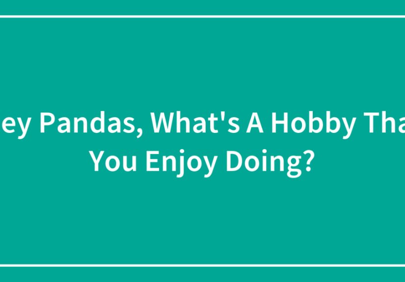 Hey Pandas, What’s A Hobby That You Enjoy Doing?