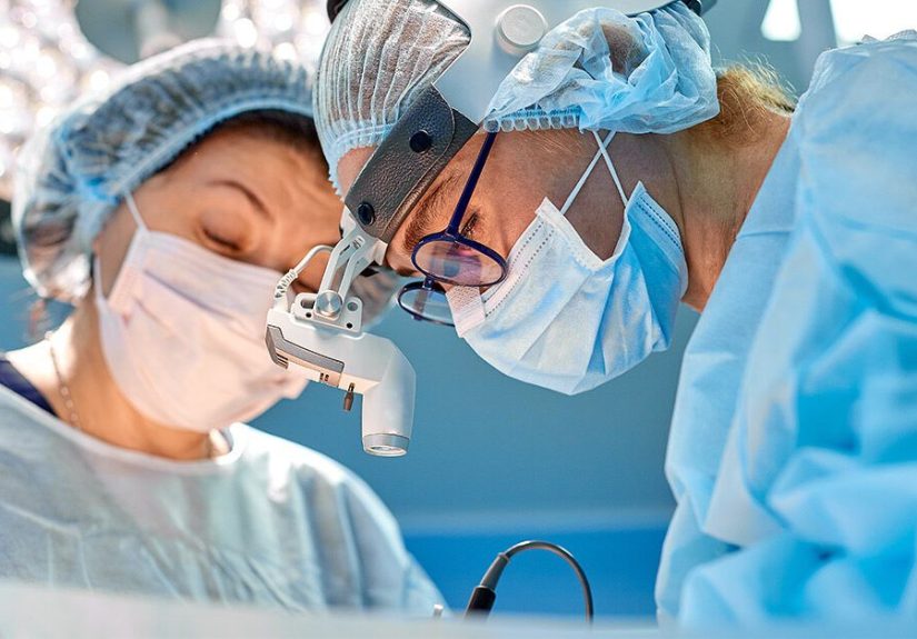 How a Kidney from a Pig May Help Save Lives