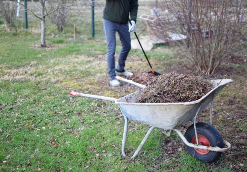 How Much Does Shrub and Bush Removal Cost? - Bob Vila