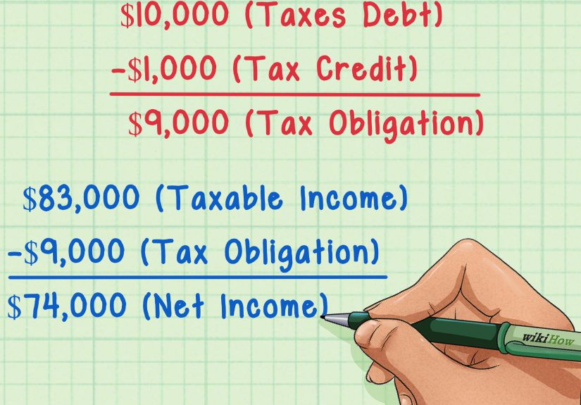 How to Calculate Net Income: 12 Steps