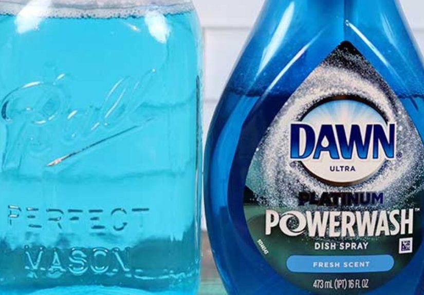 How to Make DIY Dawn Powerwash Refill