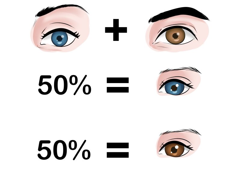 How to Predict Your Baby's Eye Color: 12 Steps