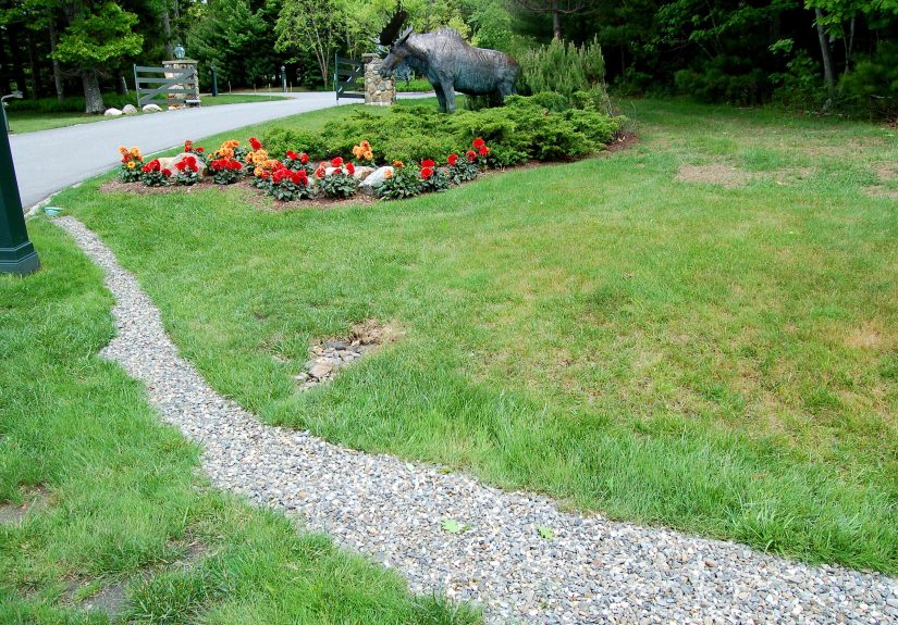 How to Remove Standing Water From Your Yard
