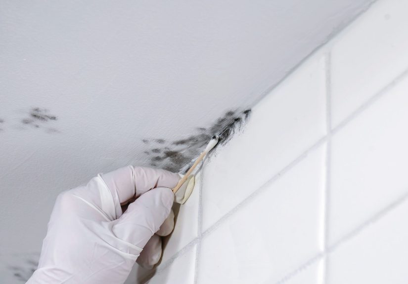 How To Test for Mold in Your Home (DIY)