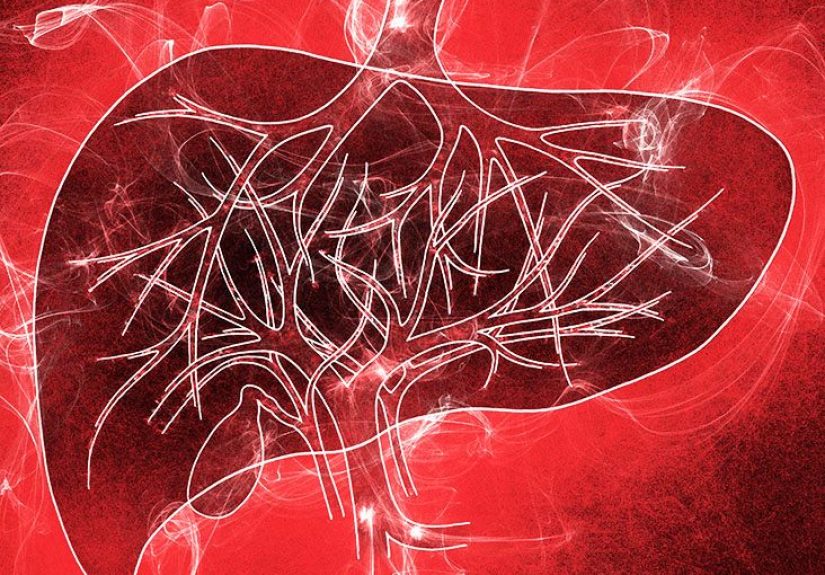 Living liver donor: Risks, results, and what to expect
