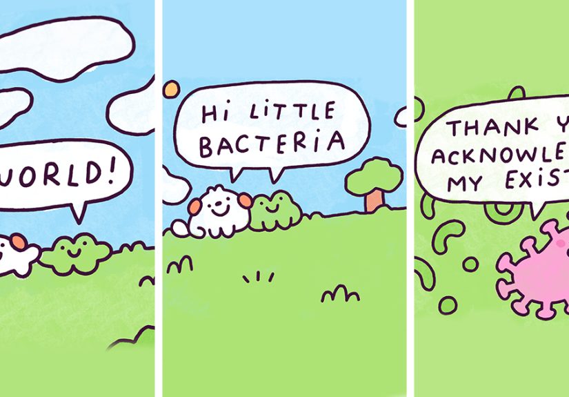 My 30 Wholesome Comics About Two Friends, Momo And Forg