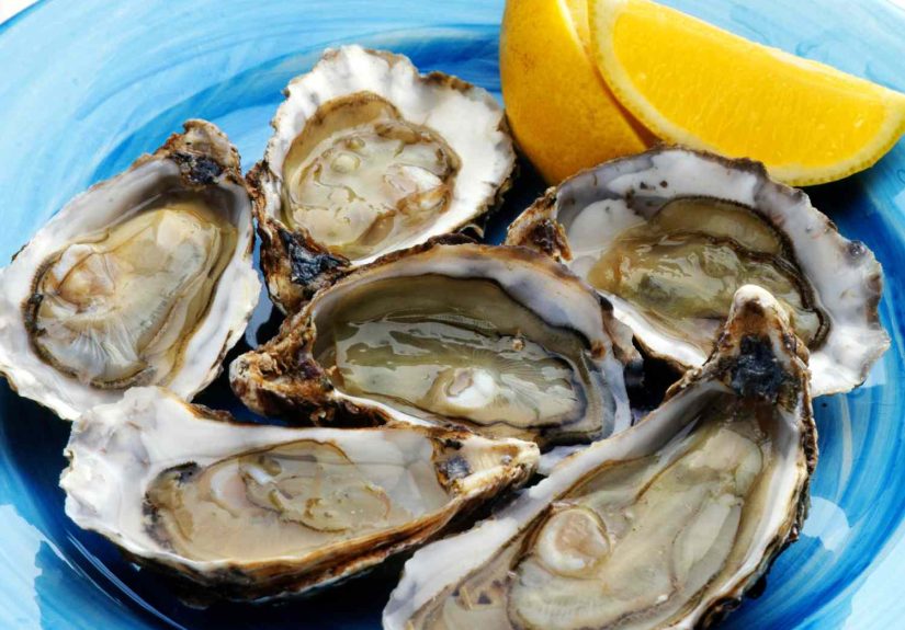 Oyster Selection and Storage Tips: A Comprehensive Guide