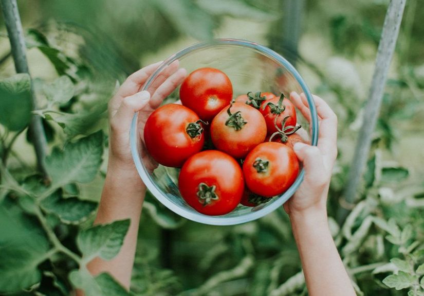 Prostate Health: 6 Foods to Eat and Drink