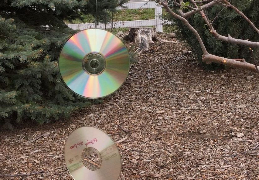 Repurposed CDs = Get Rid of Critters & Beautiful Wind Spinner