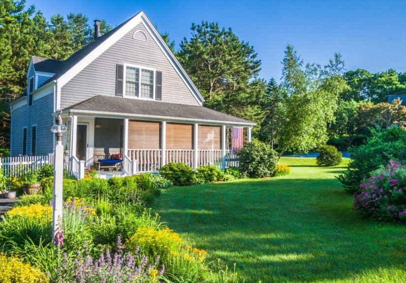 Summer Lawn Care Tips
