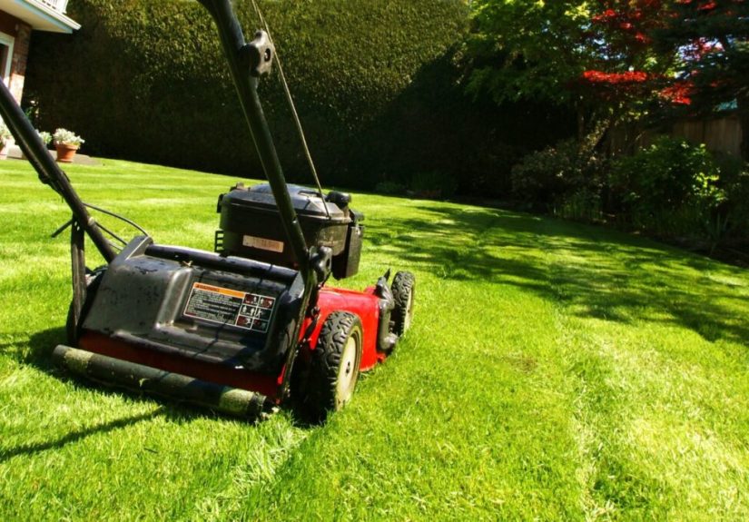 The 4 Best Lawn Mowers (2025)