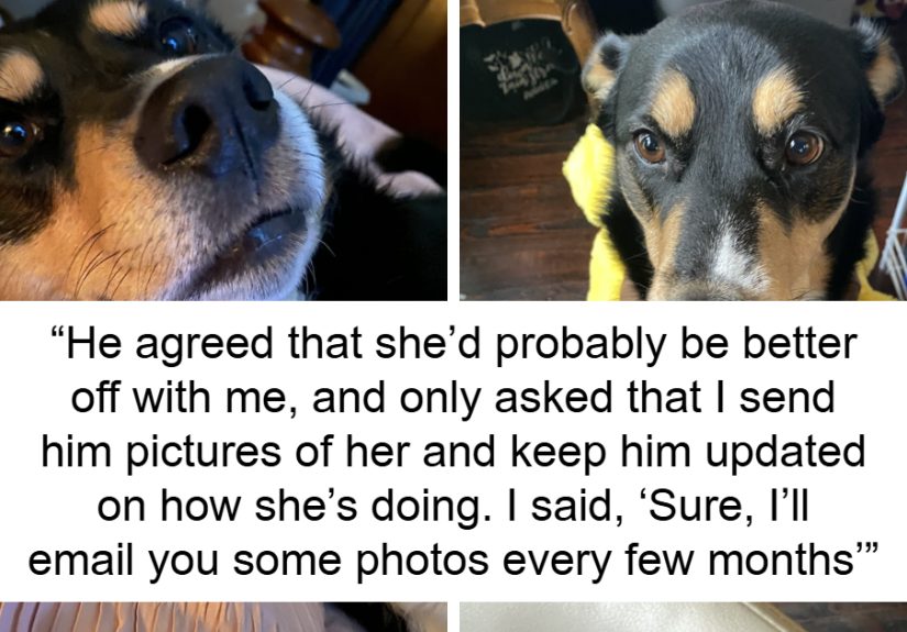 Woman’s Ex Cheats With Younger Woman On TikTok, Asks For Dog Updates, She Sends Revenge Photos
