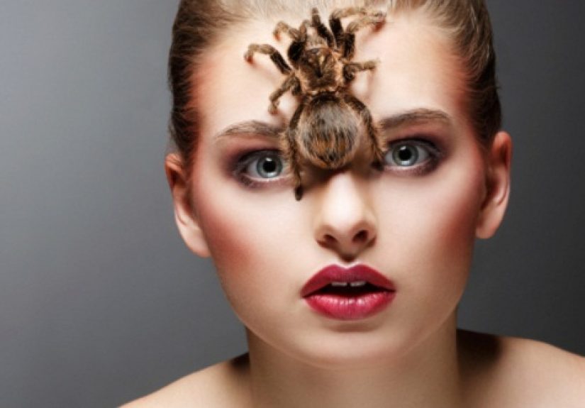 10 Scary Spider Stories
