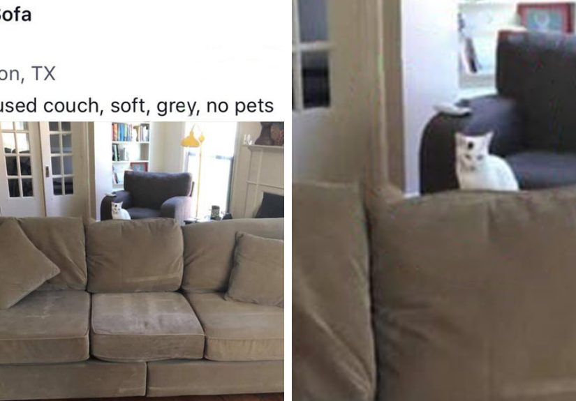 30 Completely Delusional and Funny People On Internet Marketplaces
