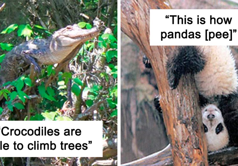 30 Haunting Real-Life Disturbing Facts You’ve Probably Never Heard Before