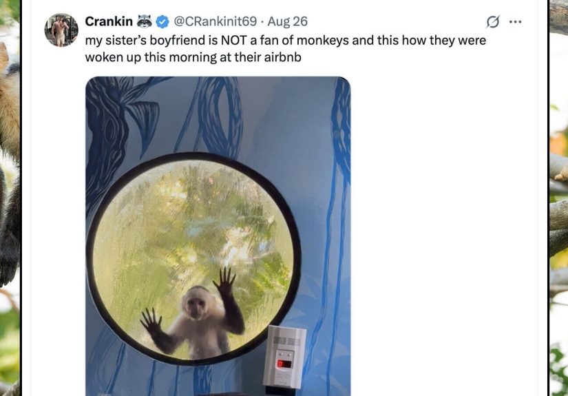 35 of the Funniest Tweets from Wednesday, August 27, 2025