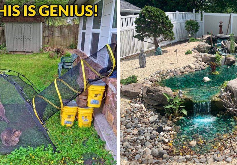 40 Creative Gardening Examples People Shared On This Facebook Group With 1.1M Members