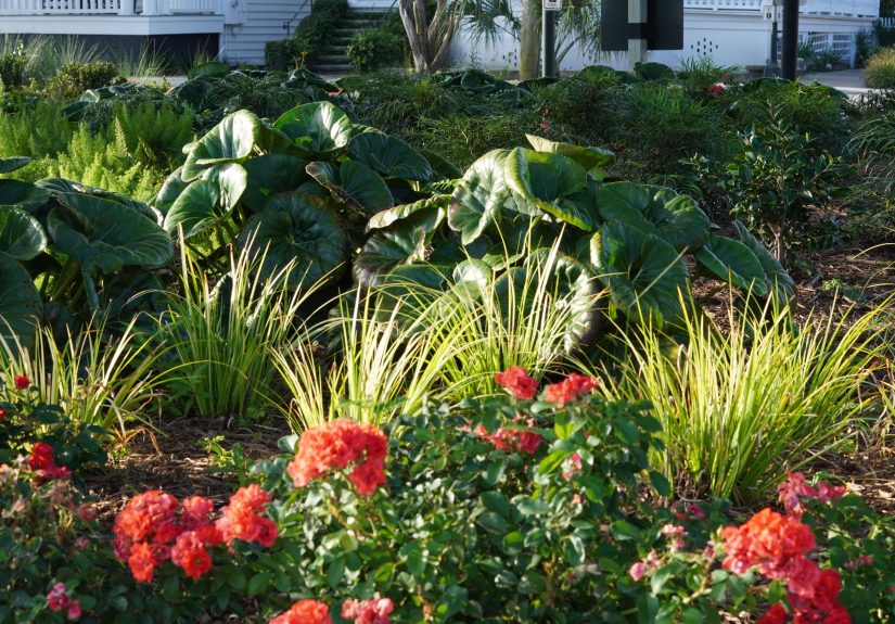 5 Designer-Approved Ways to Refresh a Tired Garden