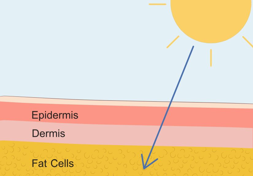 7 Ways to Best Absorb Vitamin D Supplements