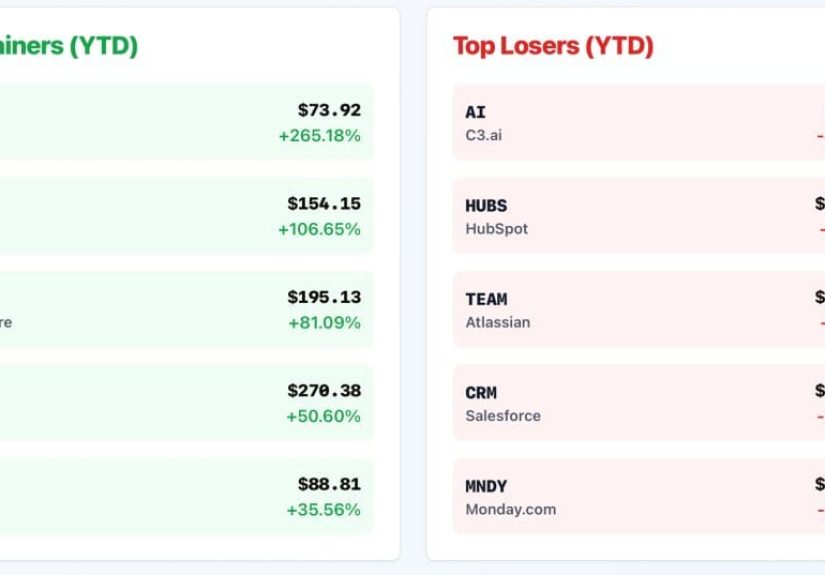 A Tale of Two Markets: The Winners and Strugglers so Far in 2025