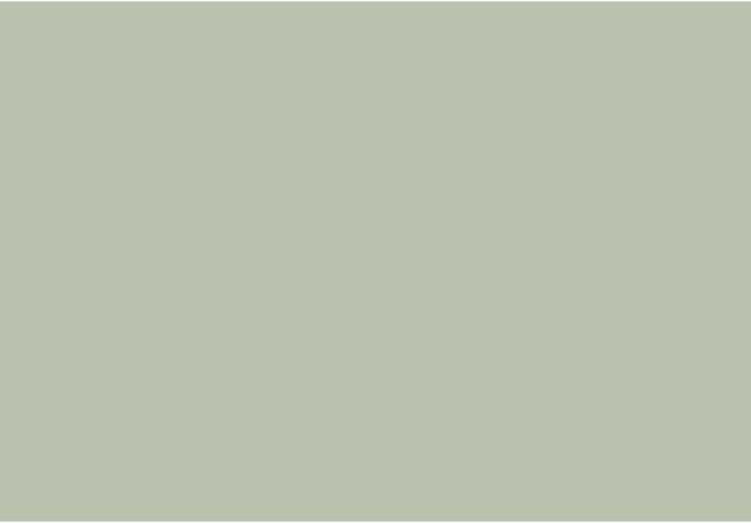 Aganthus Green 472 Paint