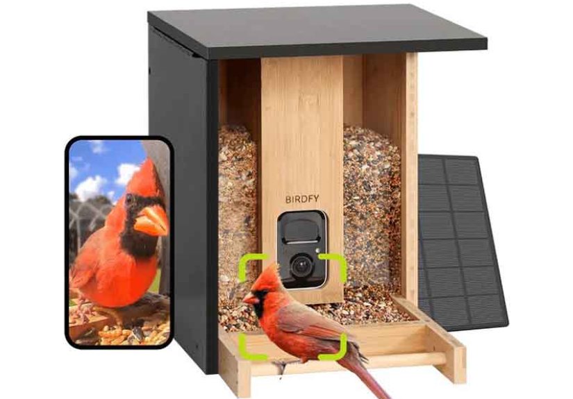Birdfy Feeder Bamboo - Smart Bird Feeder with Eco-friendly Material