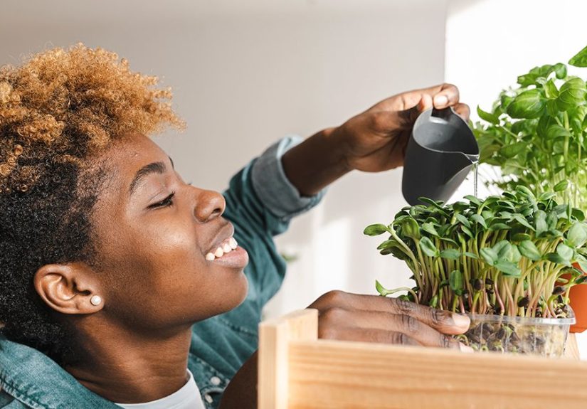 Budget-Friendly Produce Tips