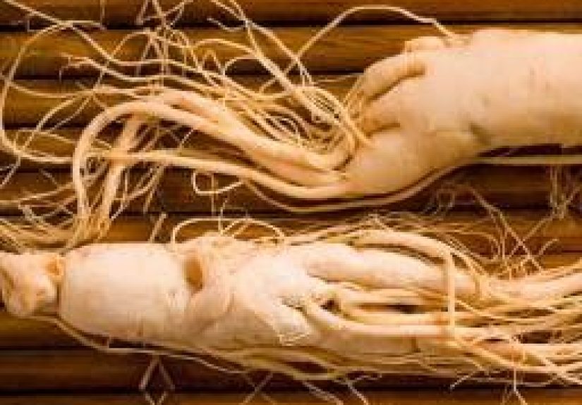 Can red ginseng help treat erectile dysfunction?
