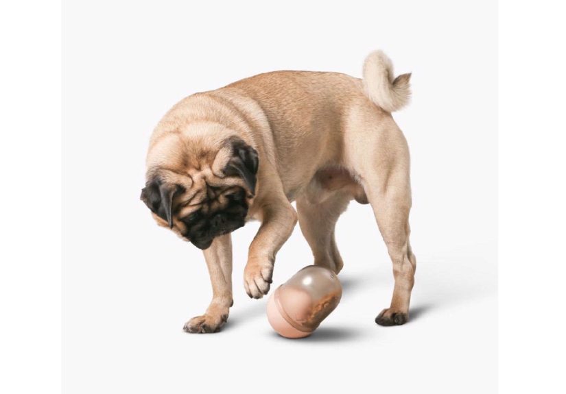 Capsule Treat Dispenser Dog Toy