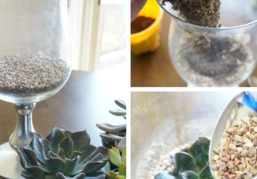 Creative Succulent Terrarium