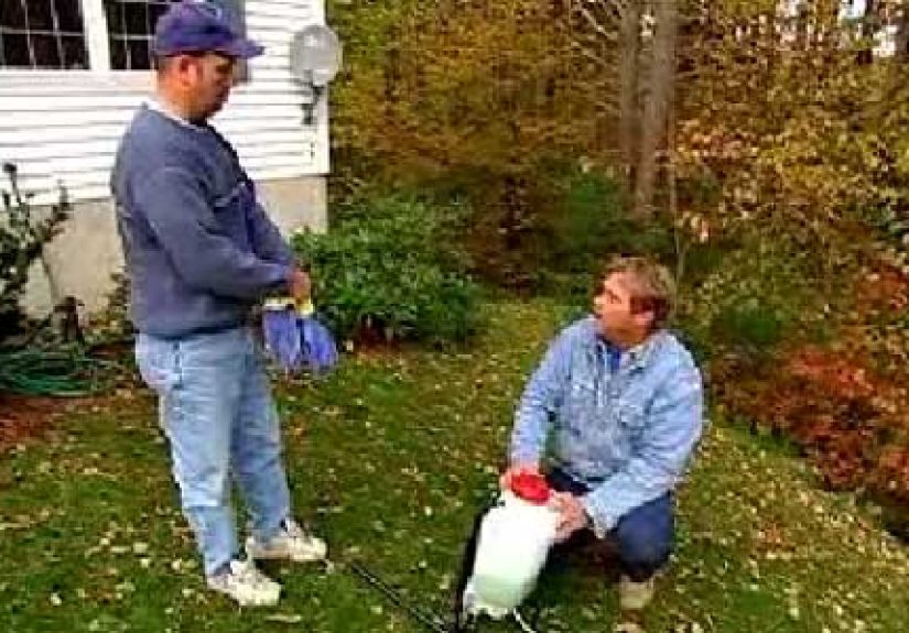 Everything You Need to Know to Deer-proof Your Shrubs