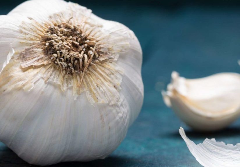 Garlic and HIV: Are There Any Effects or Benefits?