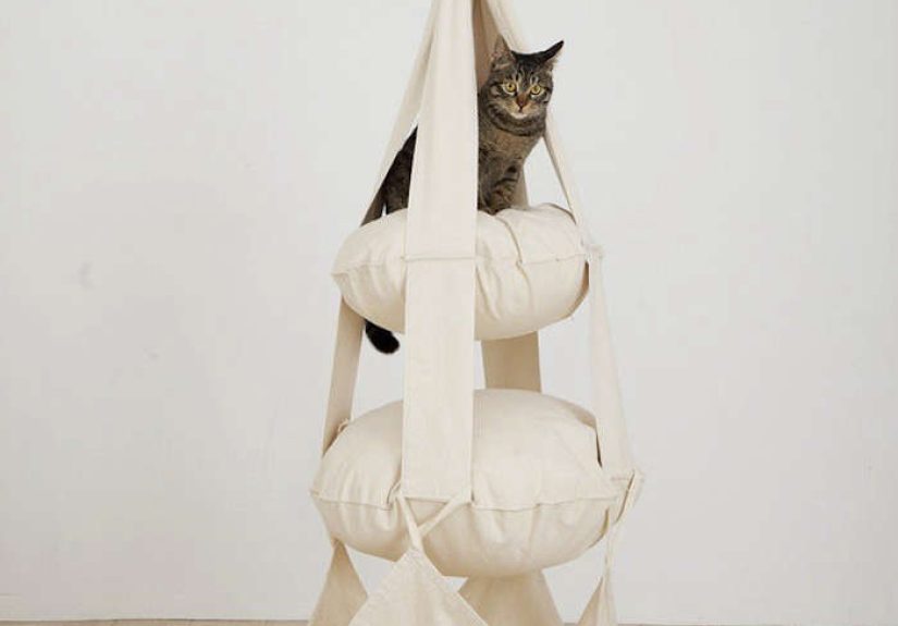 Gift Guide: For the Feline Fanatic